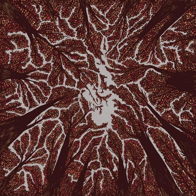 Trash Boat - Crown Shyness / CD / Album